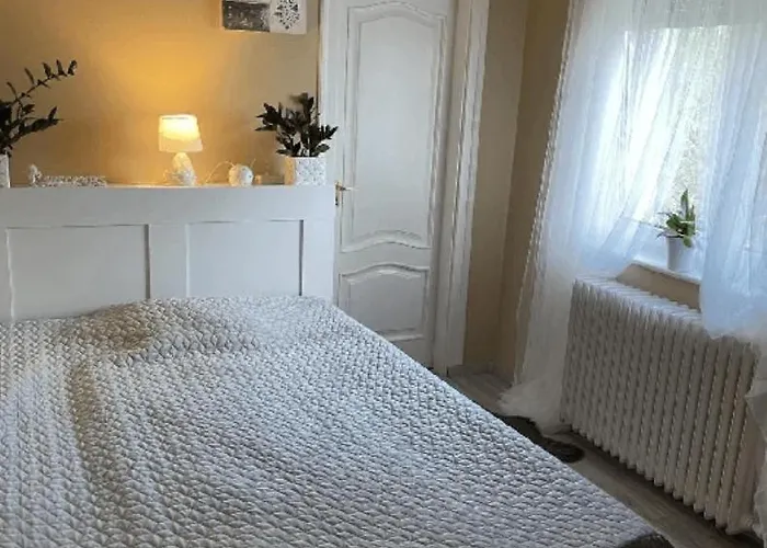 Pava Panzio Soltvadkert